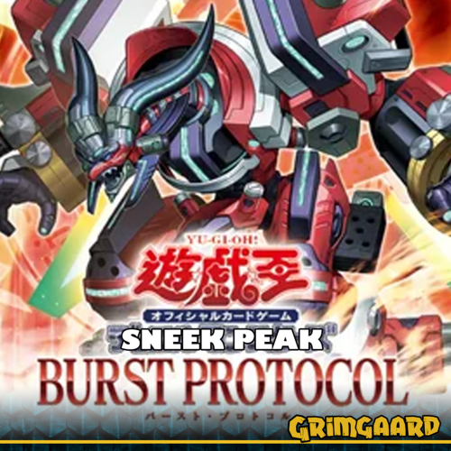 31.01 - Sneek Peak - Burst Protocol